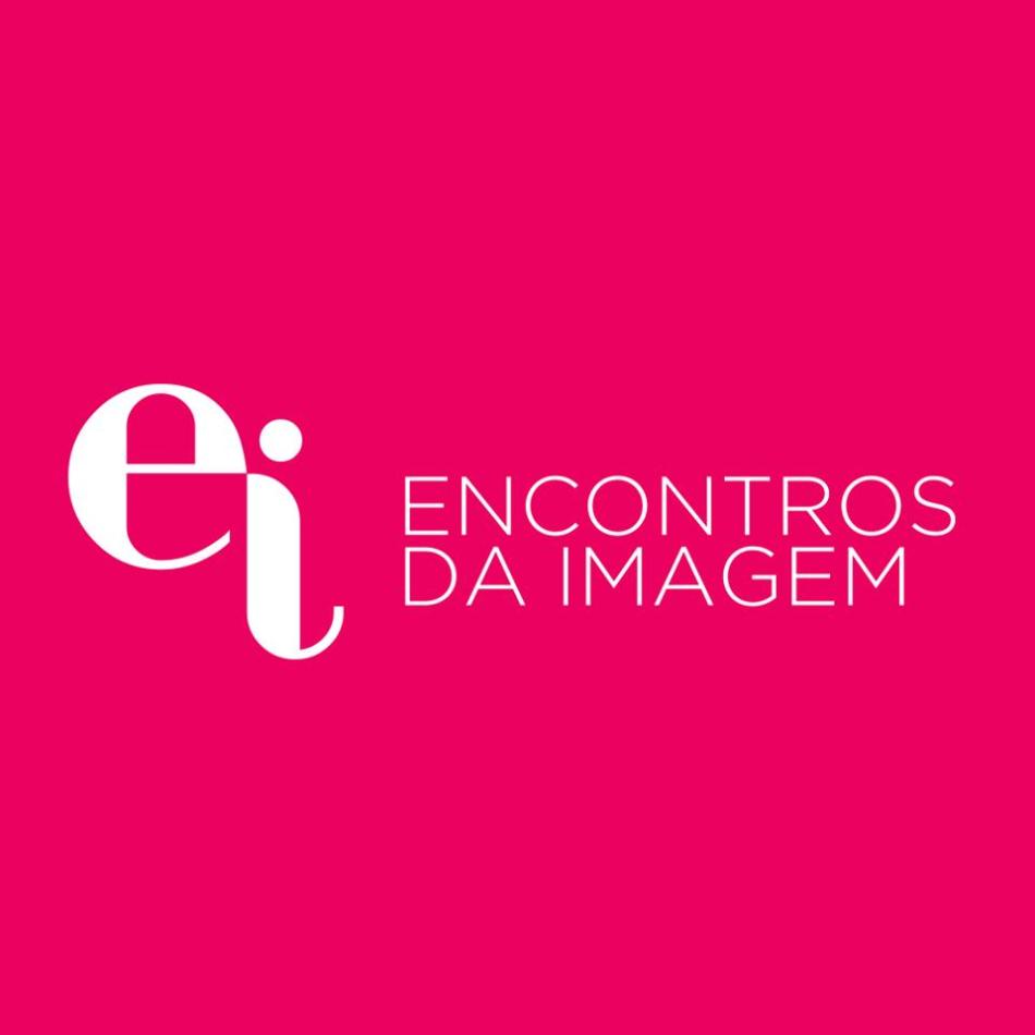 ei 2013 logo